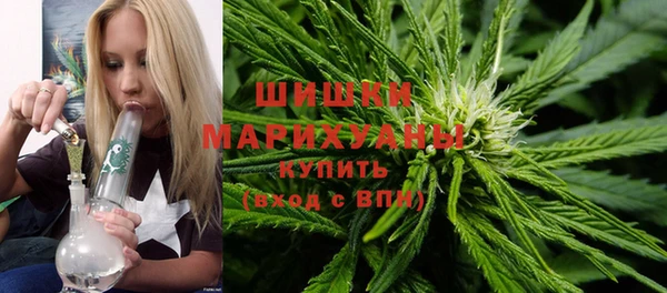 мет Арсеньев