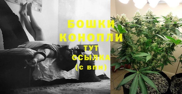 кокаин Тавда